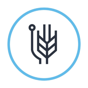 Logo for Dreamware Tech