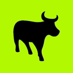 Logo for Flash Mobile