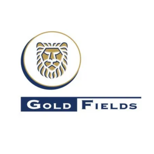 Logo for Gold Fields