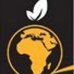 Logo for Joburg Market