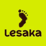 Logo for Net1 (Lesaka)