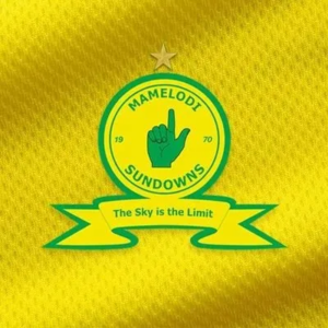 Logo for Mamelodi Sundowns